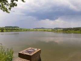 401 223 Vackův rybník - kontrola 17.6.23 (1).jpg